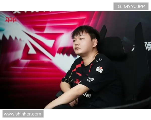 王者荣耀聚焦JDG战队节奏解析与战术探讨全方位剖析